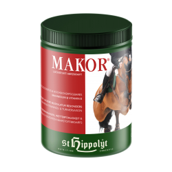 Makor