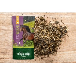 Palatin Glyx senior - St Hippolyt