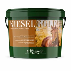 Kieselgold 4 kg