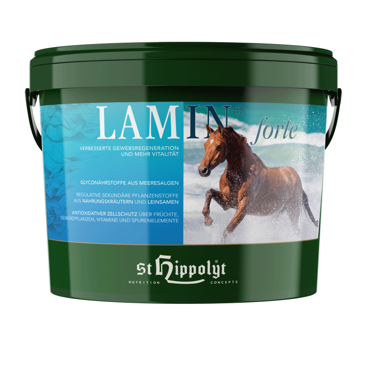 Lamin Forte 3 Kg Lamin Forte 3 Kg
