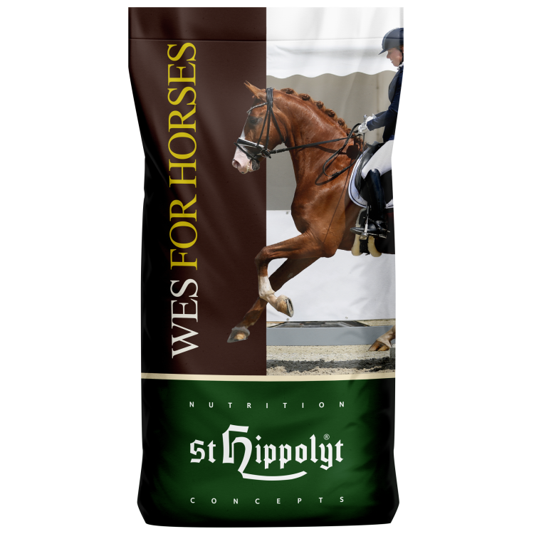 WES - St Hippolyt WES - St Hippolyt