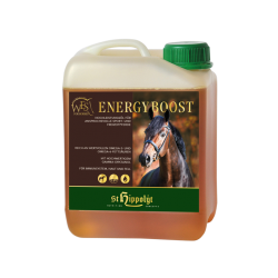 WES Energy Boost - bidon 5 Litres