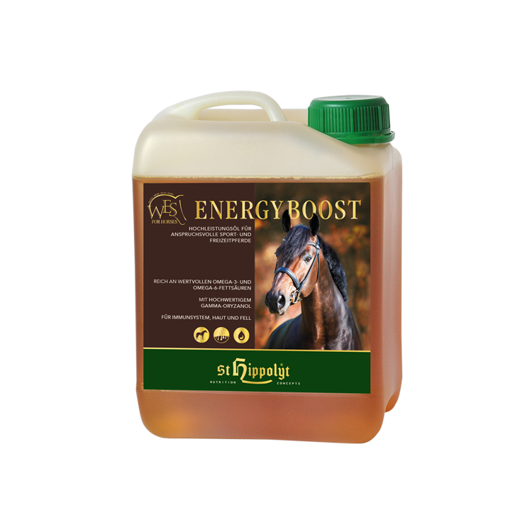 WES Energy Boost - bidon 5 Litres