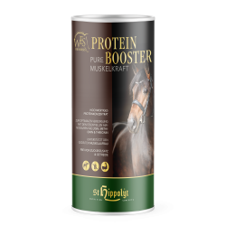 WES Protein Booster  0,750 kg Dose